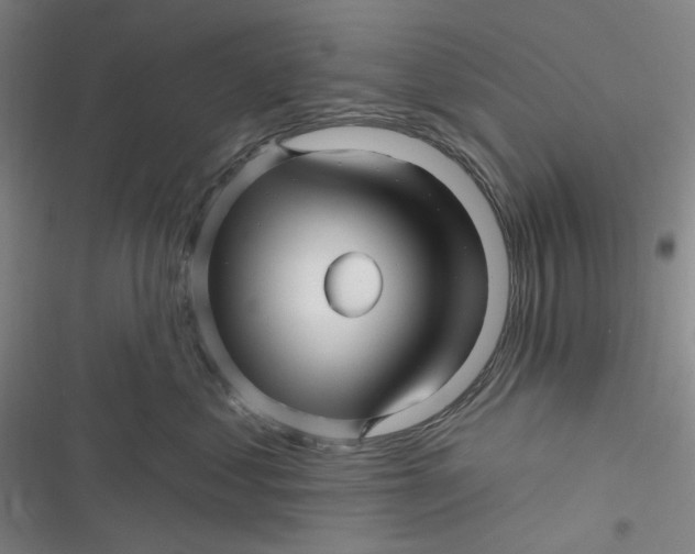 X0000116870621201001121303