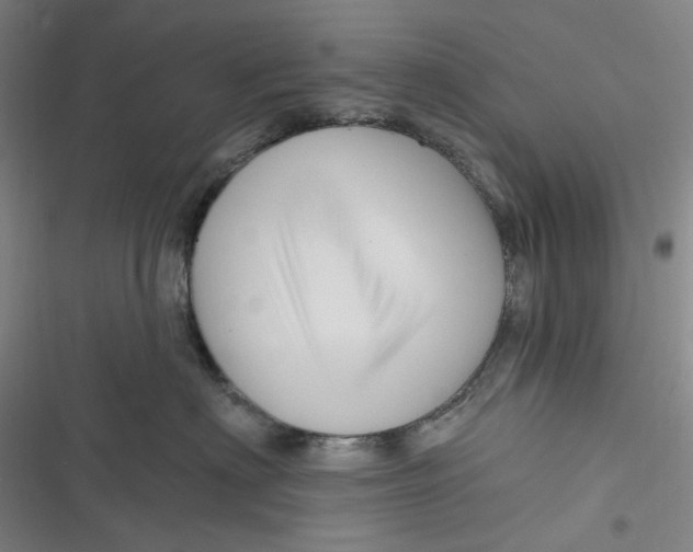 X0000116870622201001121303