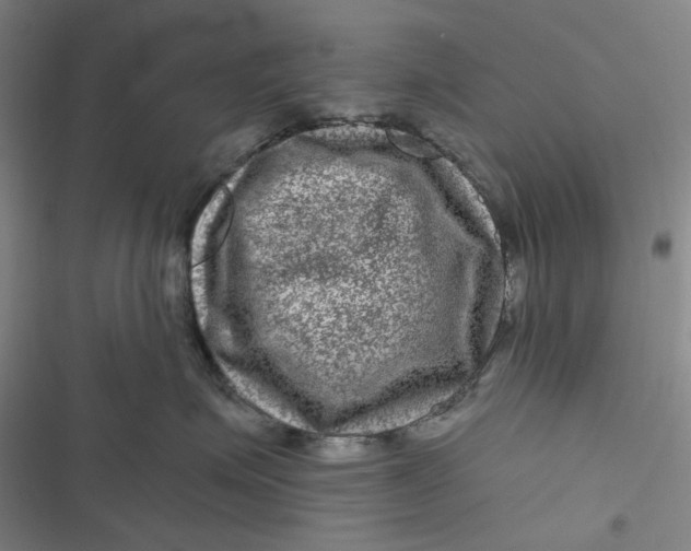 X0000116870623201001121303