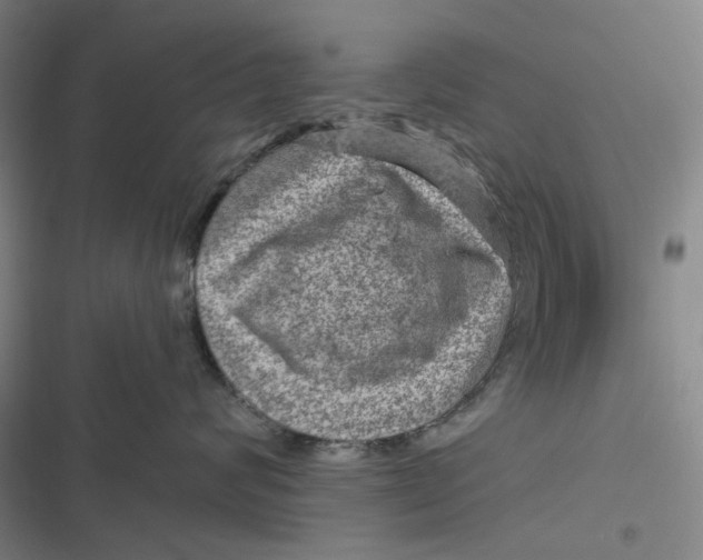 X0000116870624201001121303