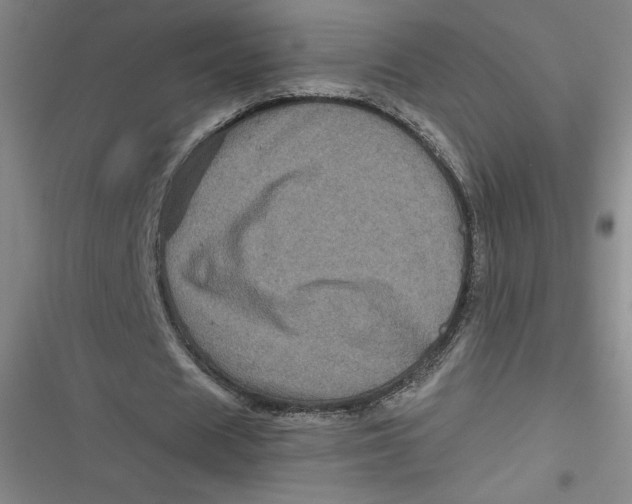 X0000116870625201001121302