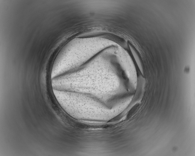 X0000116870626201001121302