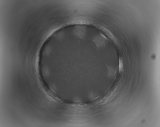 X0000116870627201001121302