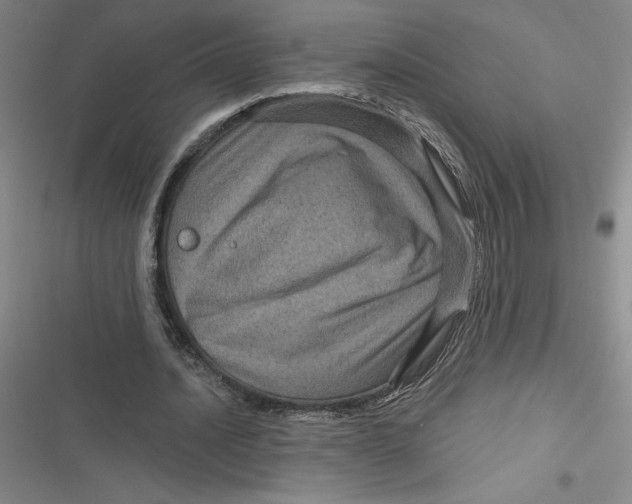 X0000116870628201001121302