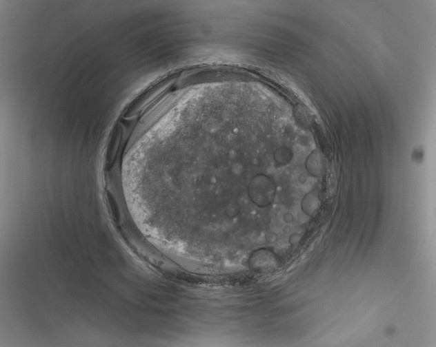 X0000116870629201001121302