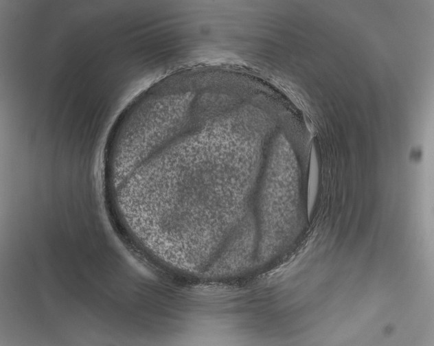 X0000116870630201001121302