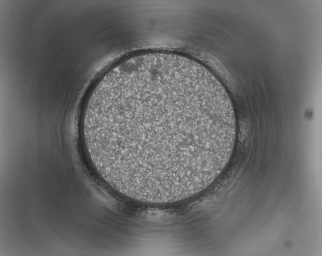 X0000116870632201001121302