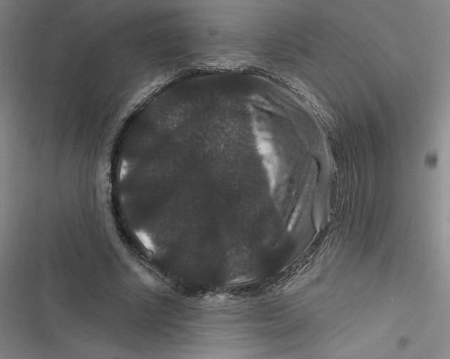 X0000116870634201001121302