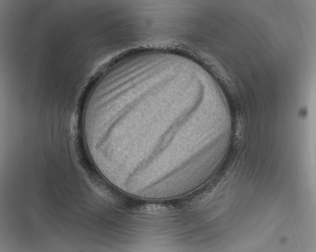 X0000116870636201001121302