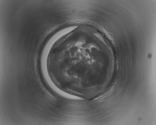 X0000116870637201001121302