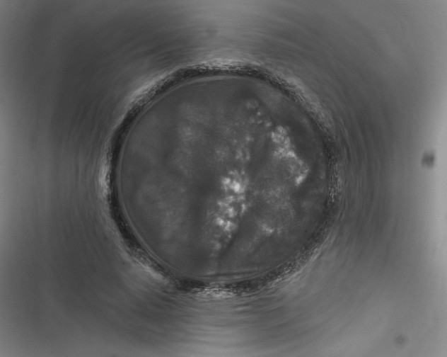 X0000116870640201001121302