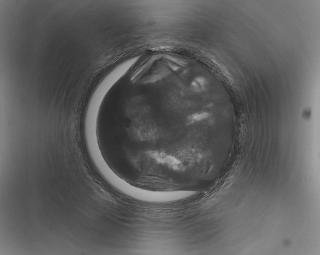 X0000116870641201001121302