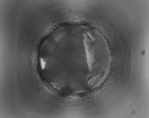 X0000116870642201001121302