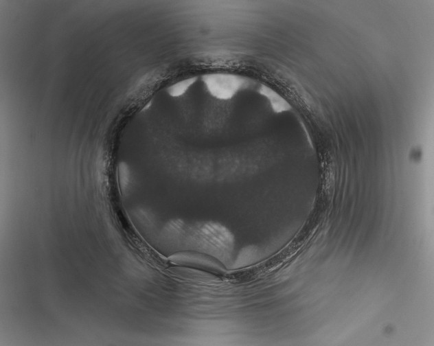 X0000116870643201001121302