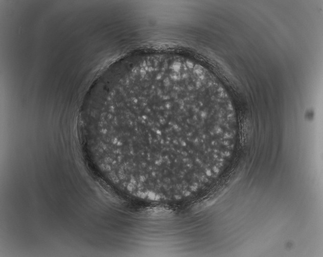 X0000116870644201001121302