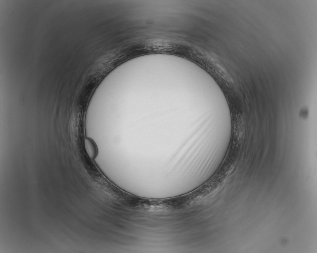 X0000116870645201001121302