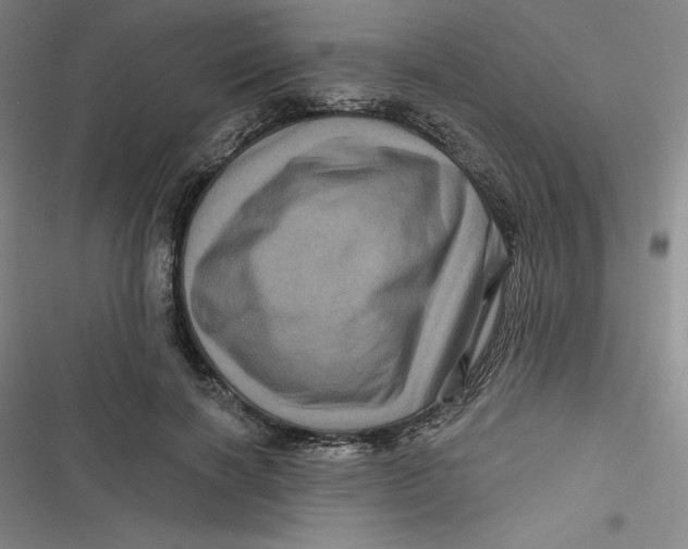 X0000116870646201001121302