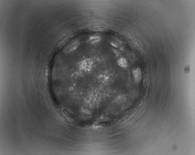 X0000116870647201001121302