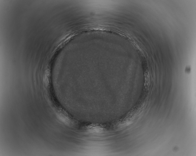 X0000116870648201001121302