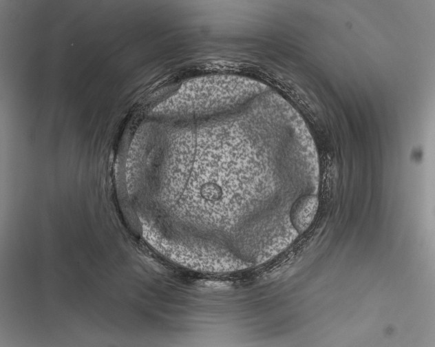 X0000116870649201001121302