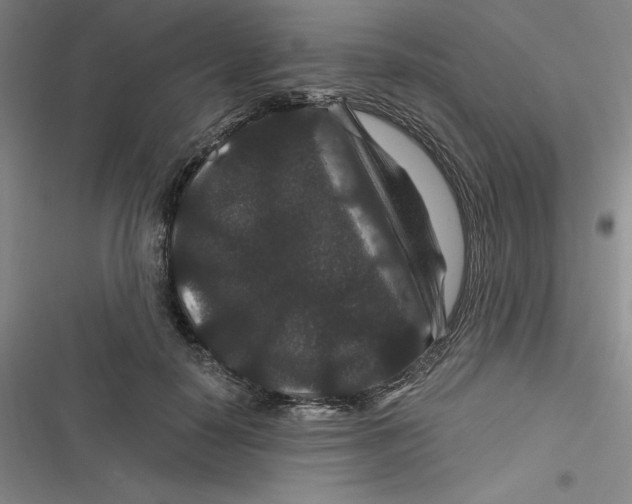 X0000116870650201001121302