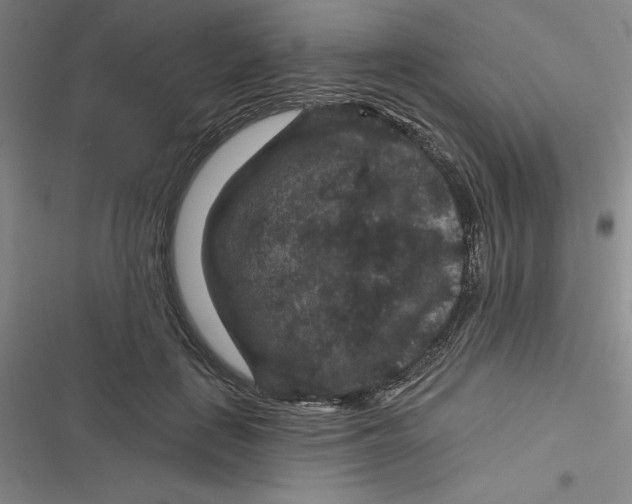 X0000116870651201001121302