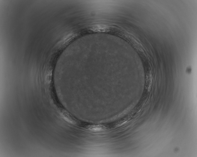 X0000116870652201001121302