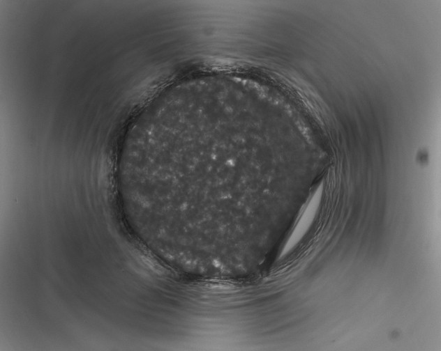 X0000116870653201001121302