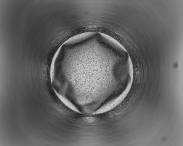 X0000116870654201001121302