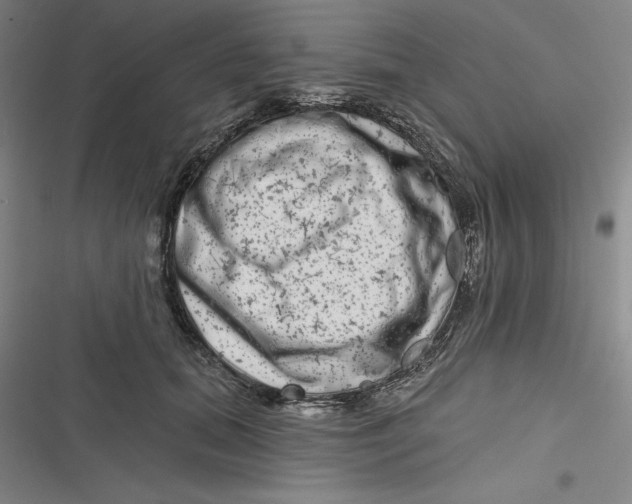 X0000116870655201001121303