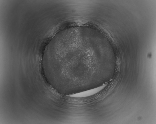 X0000116870657201001121303