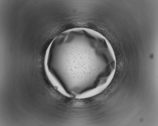 X0000116870658201001121303