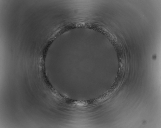 X0000116870659201001121303