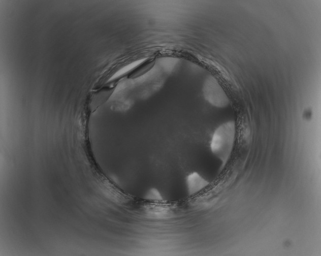 X0000116870661201001121303