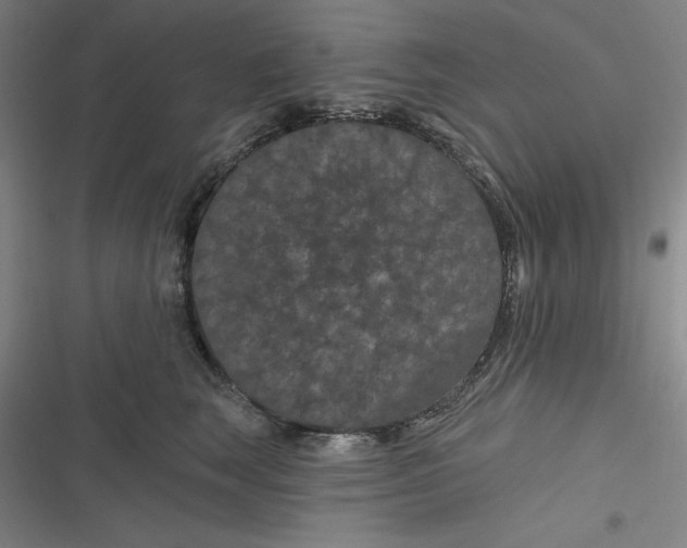 X0000116870663201001121303