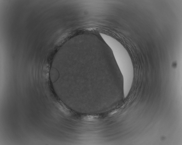 X0000116870664201001121303