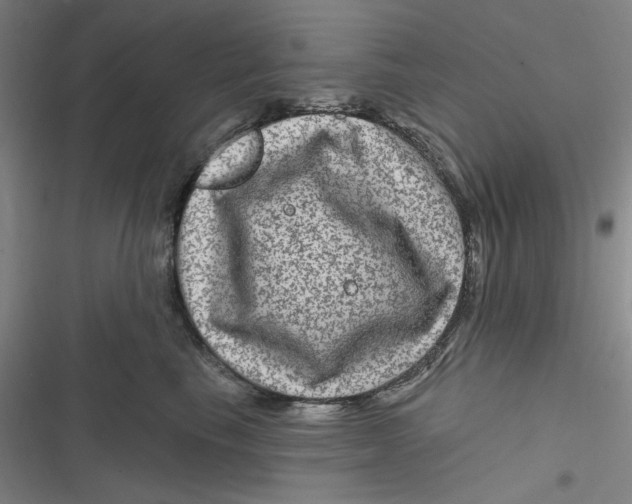 X0000116870665201001121303