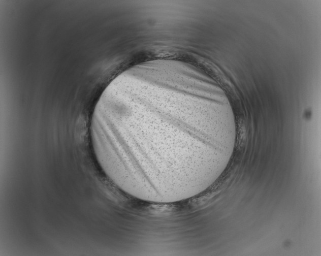 X0000116870667201001121303