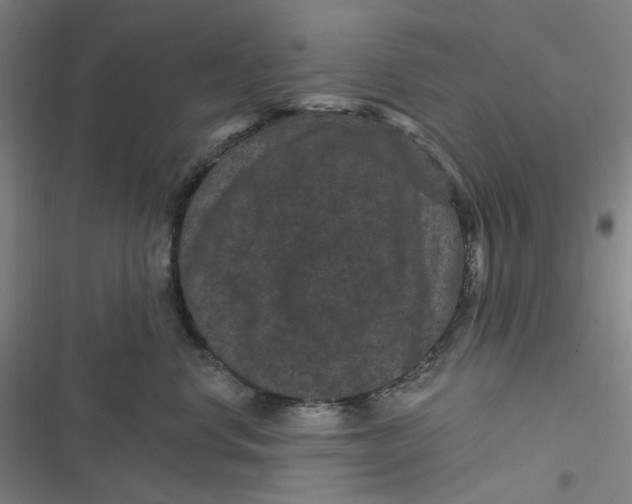 X0000116870668201001121303