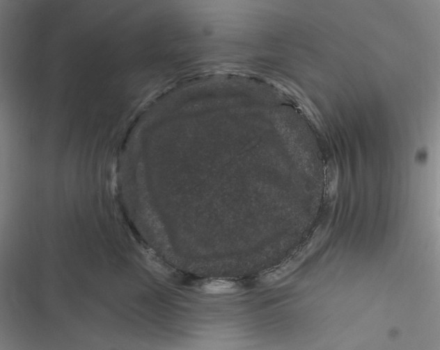 X0000116870669201001121303