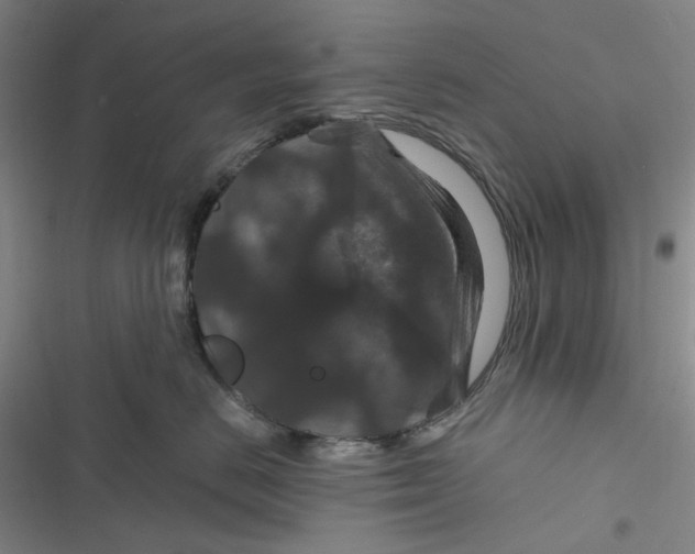 X0000116870670201001121303