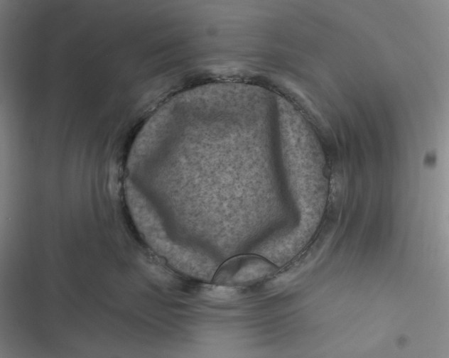 X0000116870671201001121303