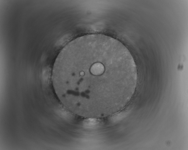 X0000116870672201001121303