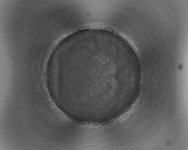 X0000116870673201001121302