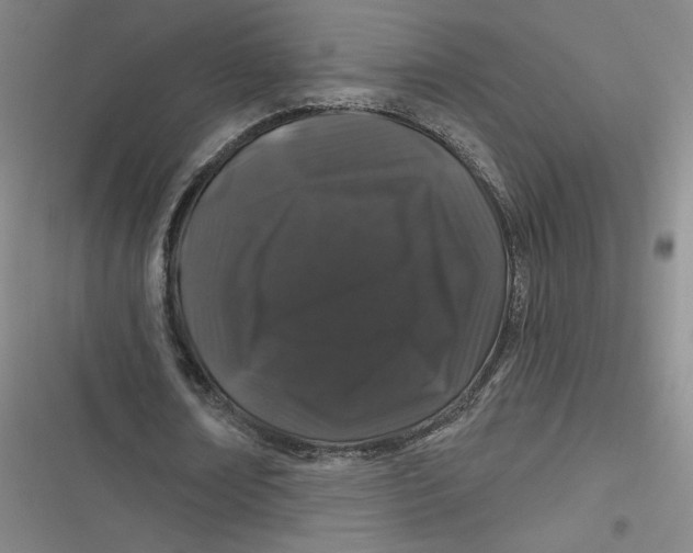 X0000116870674201001121302