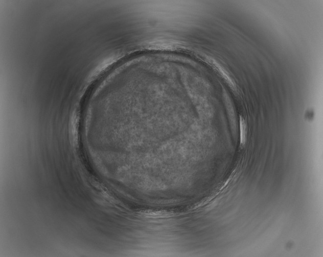 X0000116870675201001121302