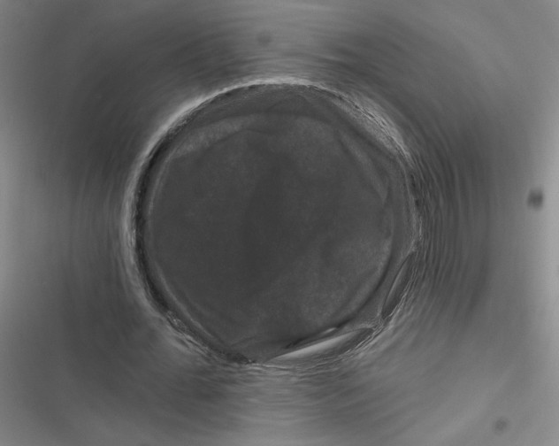 X0000116870676201001121302