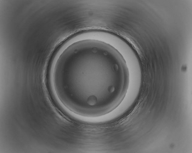 X0000116870677201001121302