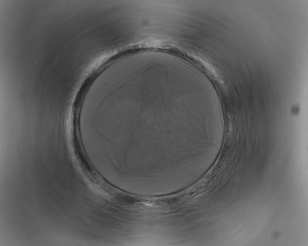 X0000116870678201001121302