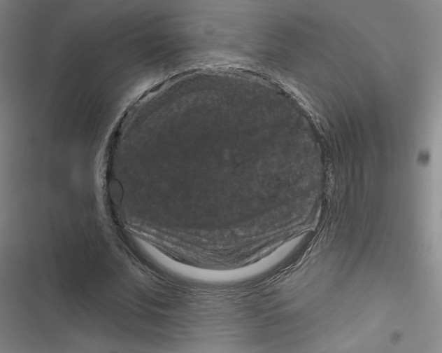 X0000116870679201001121302